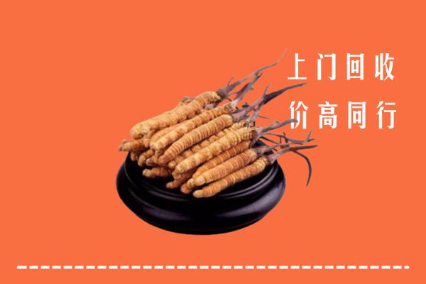高价求购：阳江回收散虫草