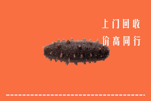 高价求购：阳江回收海参