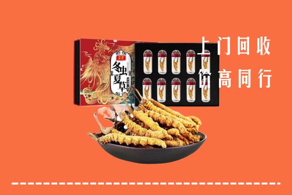 阳江回收虫草